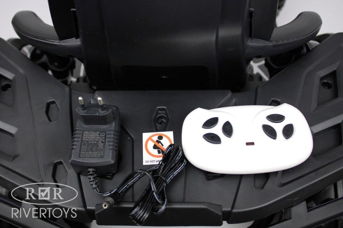 Купить Детский электроквадроцикл Rivertoys H999HH
