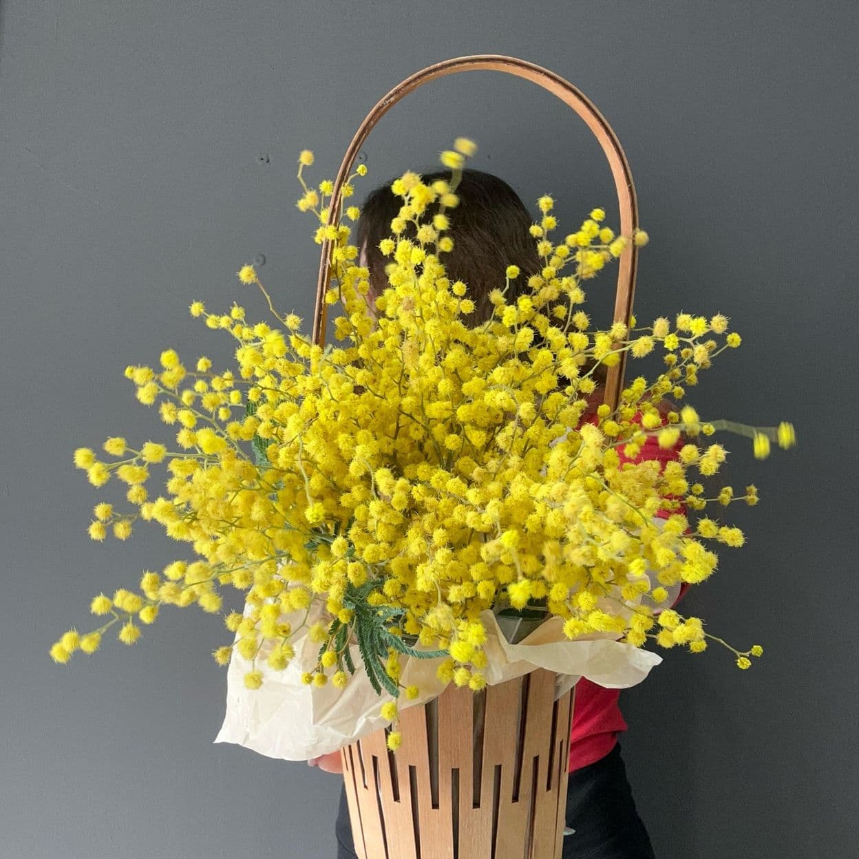 Купить Мимоза в корзинке