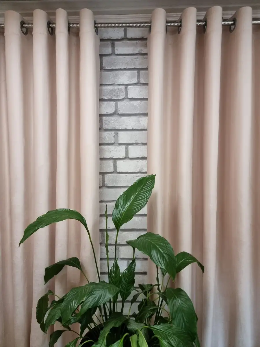 Купить 200х270 2 шт. Бархат