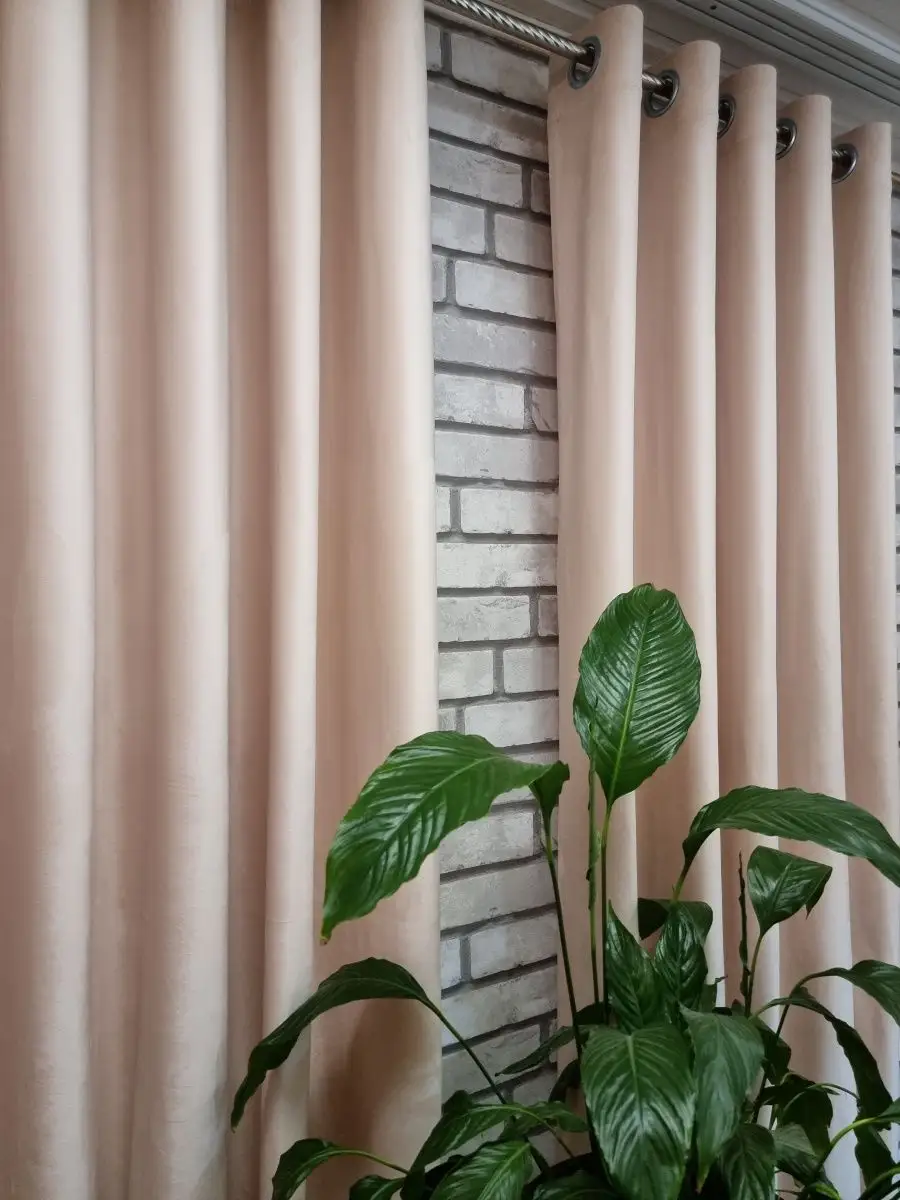 Купить 200х270 2 шт. Бархат