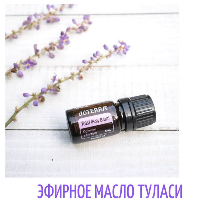 Купить Туласи