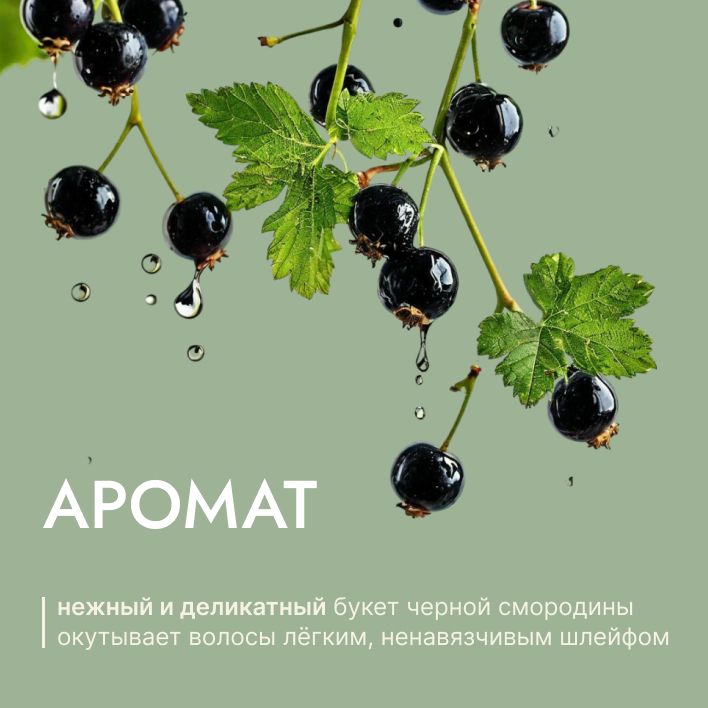 Купить Шампунь для всех типов волос