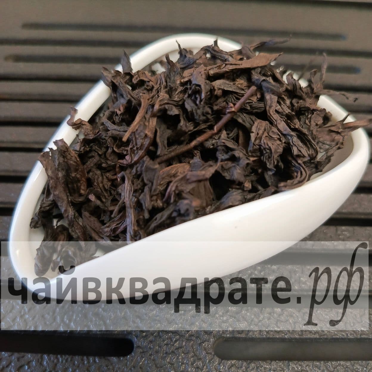 Купить Го Сян Шуй Сянь «Нарцисс Фруктового Аромата» Весна 2024