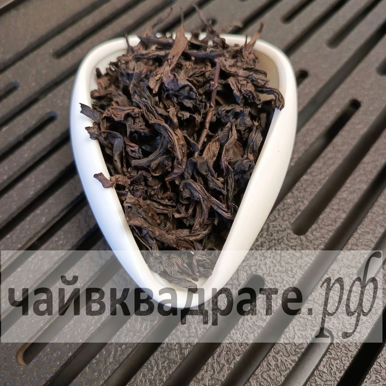 Купить Го Сян Шуй Сянь «Нарцисс Фруктового Аромата» Весна 2024