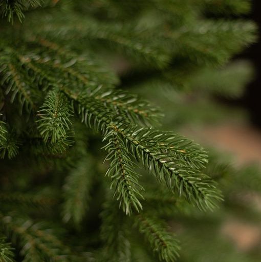 Купить Уральская