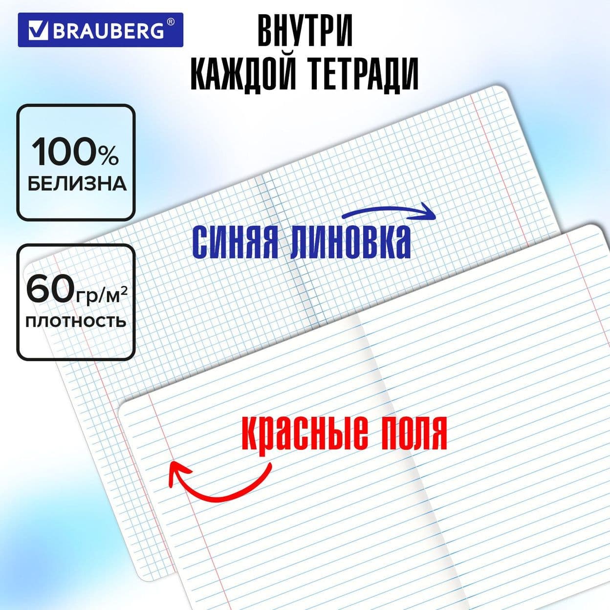 Купить Тетради предметные со справочным материалом, КОМПЛЕКТ 10 ПРЕДМЕТОВ, 48 л., SoftTouch, фольга, BRAUBERG, «PASTEL»