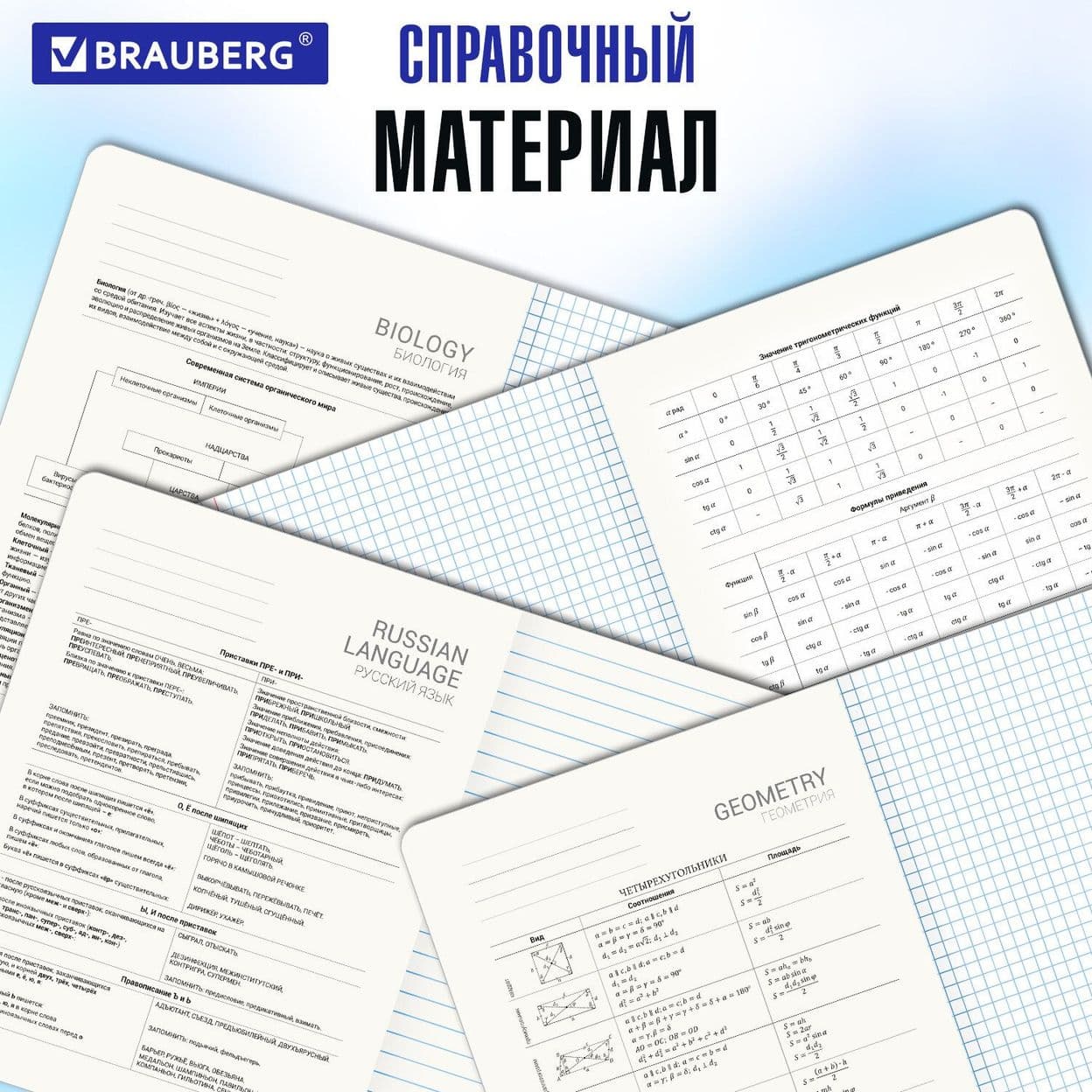Купить Тетради предметные со справочным материалом, КОМПЛЕКТ 10 ПРЕДМЕТОВ, 48 л., SoftTouch, фольга, BRAUBERG, «PASTEL»
