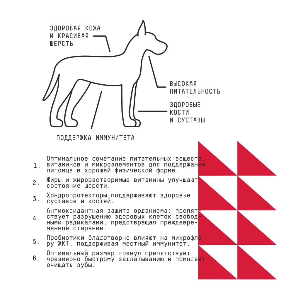 Купить AJO Dog Maxi Adult Сухой полнорационный корм с гречкой для взрослых собак крупных пород 2 кг