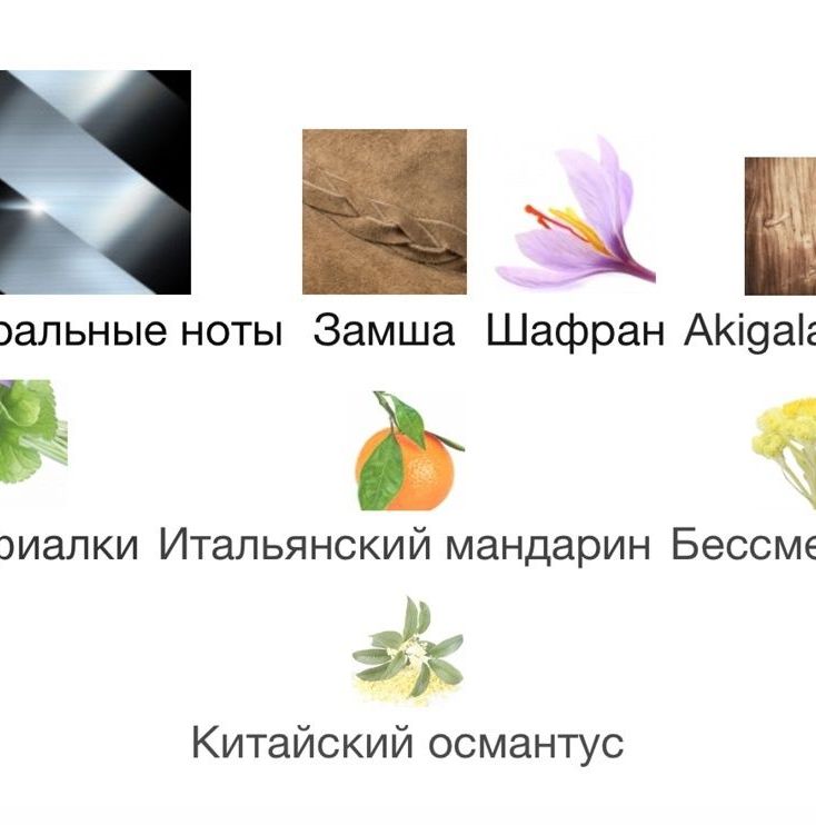 Купить Ganymede Marc-Antoine Barrois