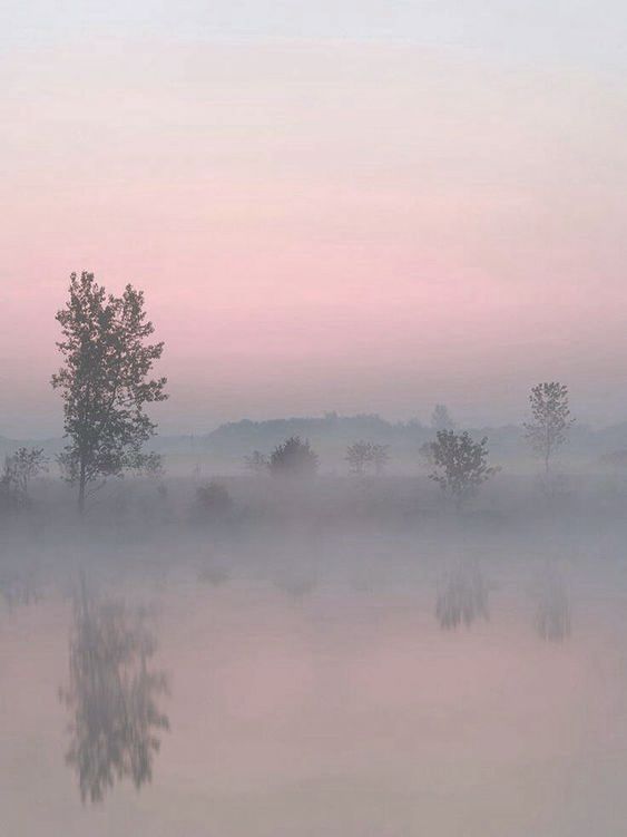 Купить Колье Pink Fog