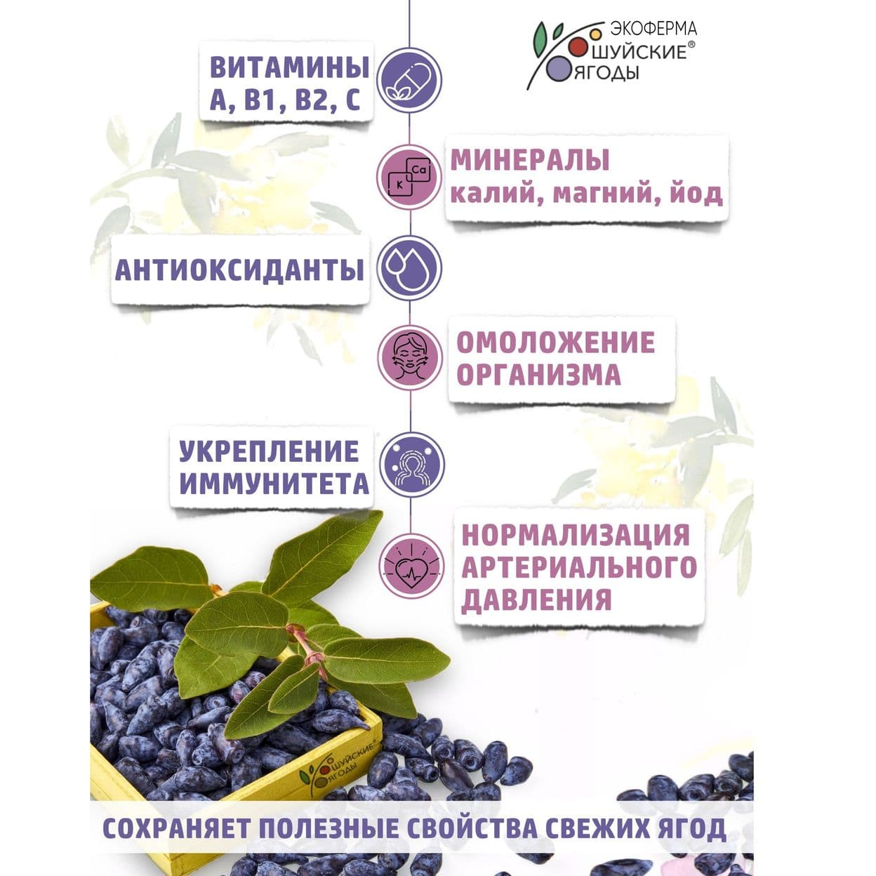 Купить МАРМЕЛАД ИЗ ЖИМОЛОСТИ 