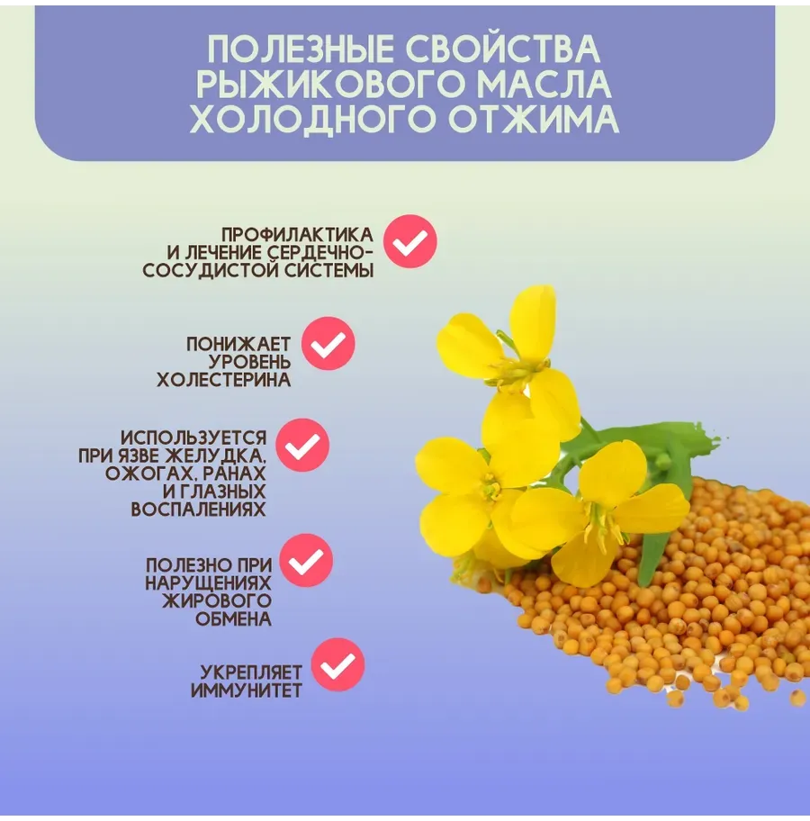 Купить ЗДРАВА Масло Рыжиковое 250 мл. Холодный отжим