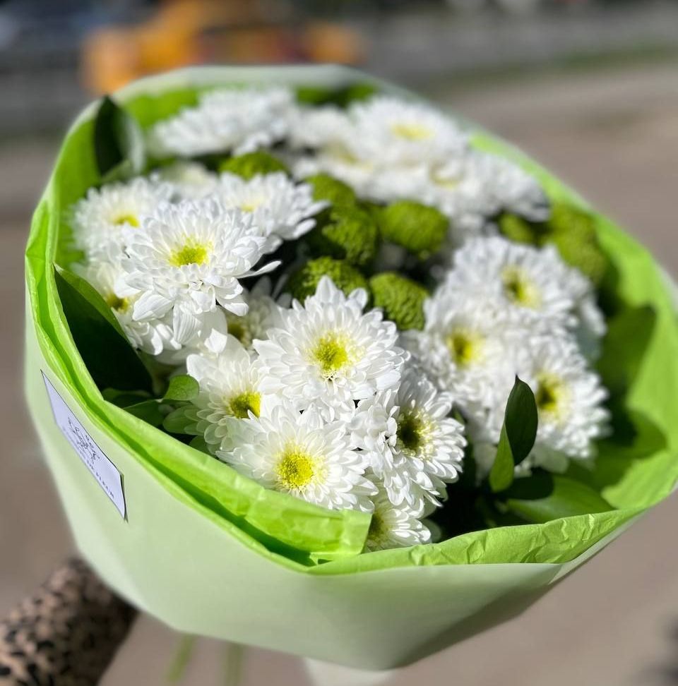 Купить Qiwi