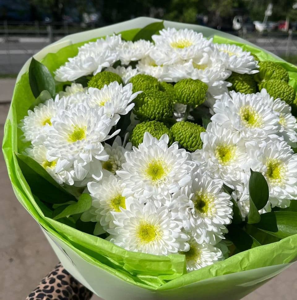 Купить Qiwi