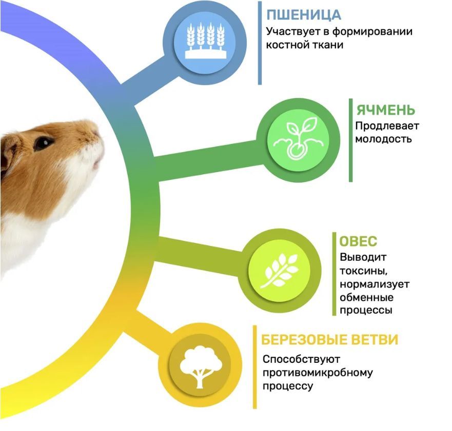 Купить Корм для морских свинок