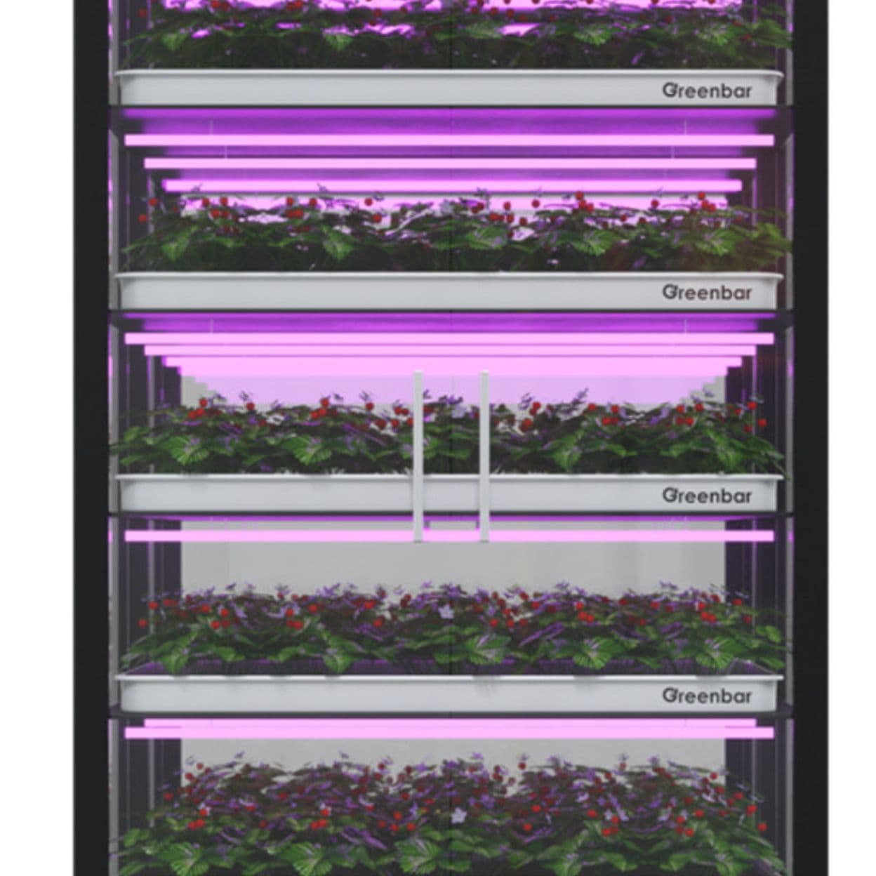Купить Ситиферма PRO-berry-5 вертикальный модуль для выращивания клубники