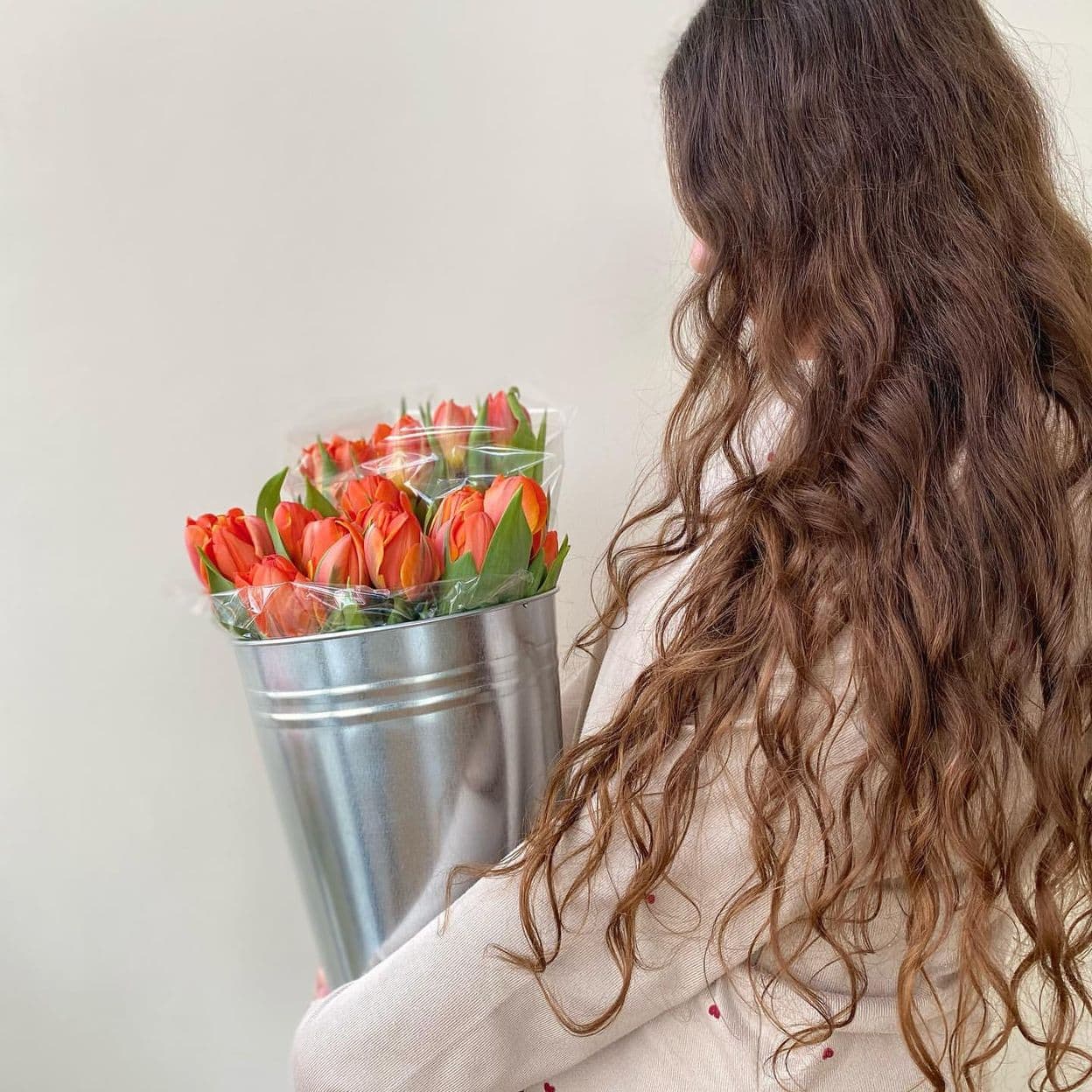 Купить Тюльпан orange
