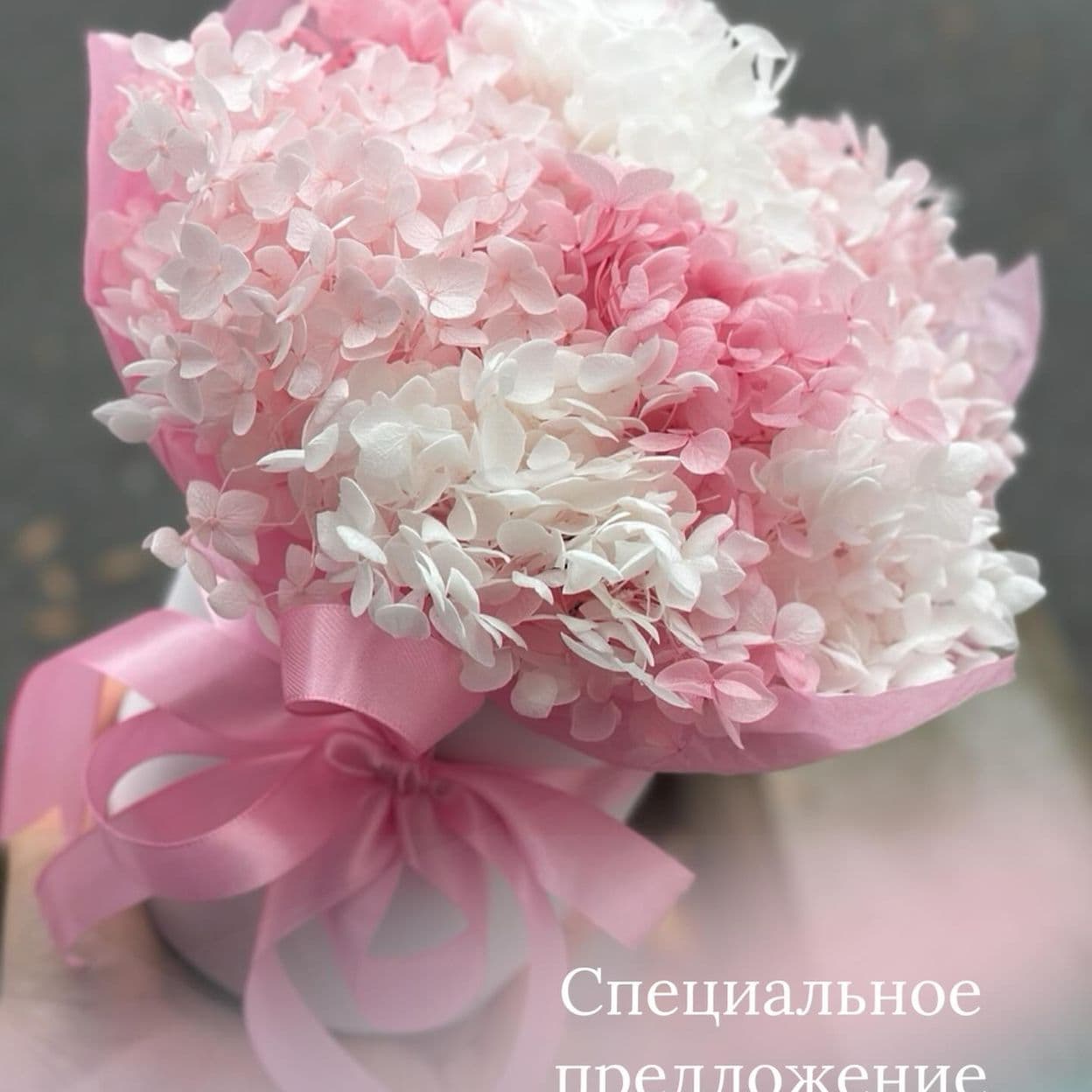 Купить Хочу