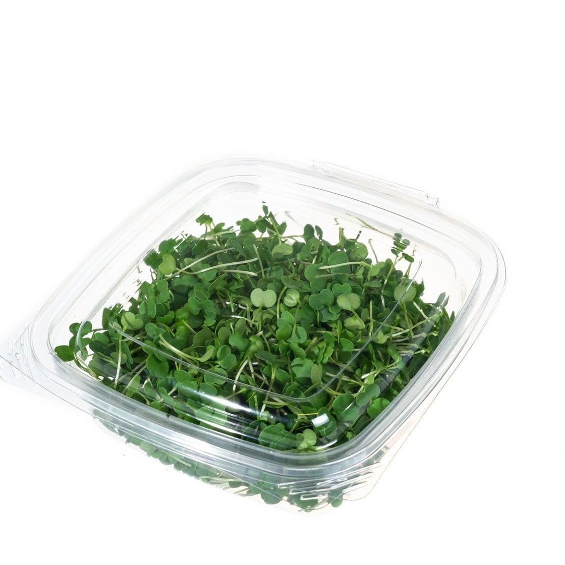 Купить Рукола (руккола)