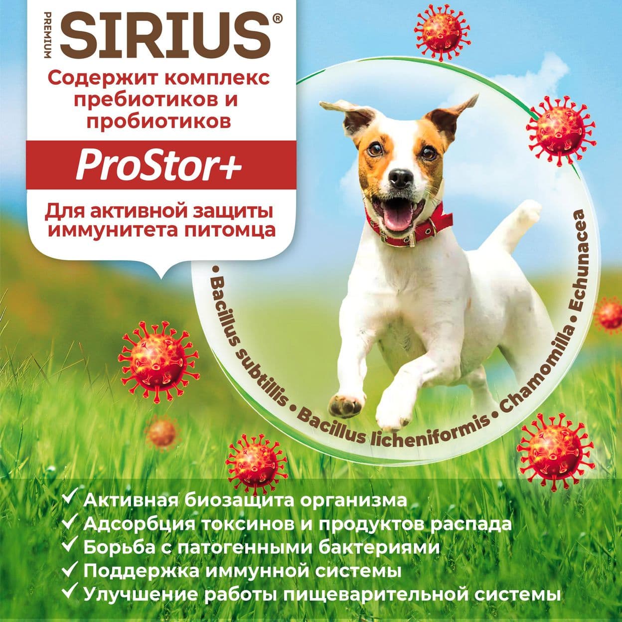 Купить Сухой корм SIRIUS для взрослых собак малых пород