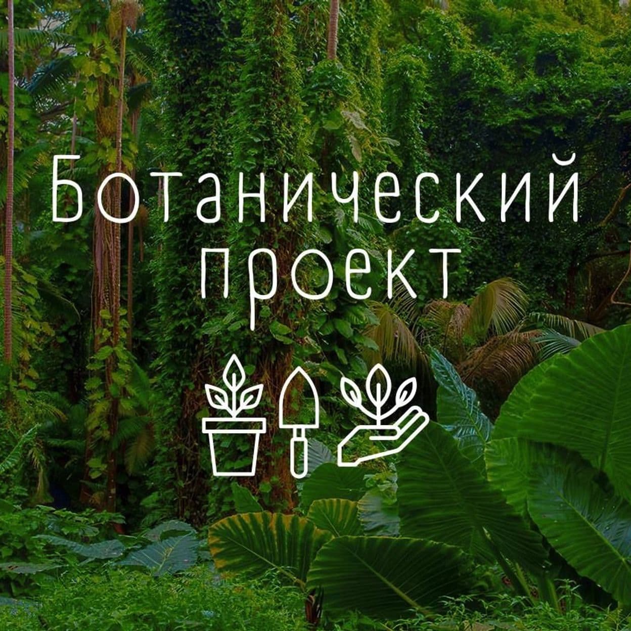 Купить Учусь сам(-а)