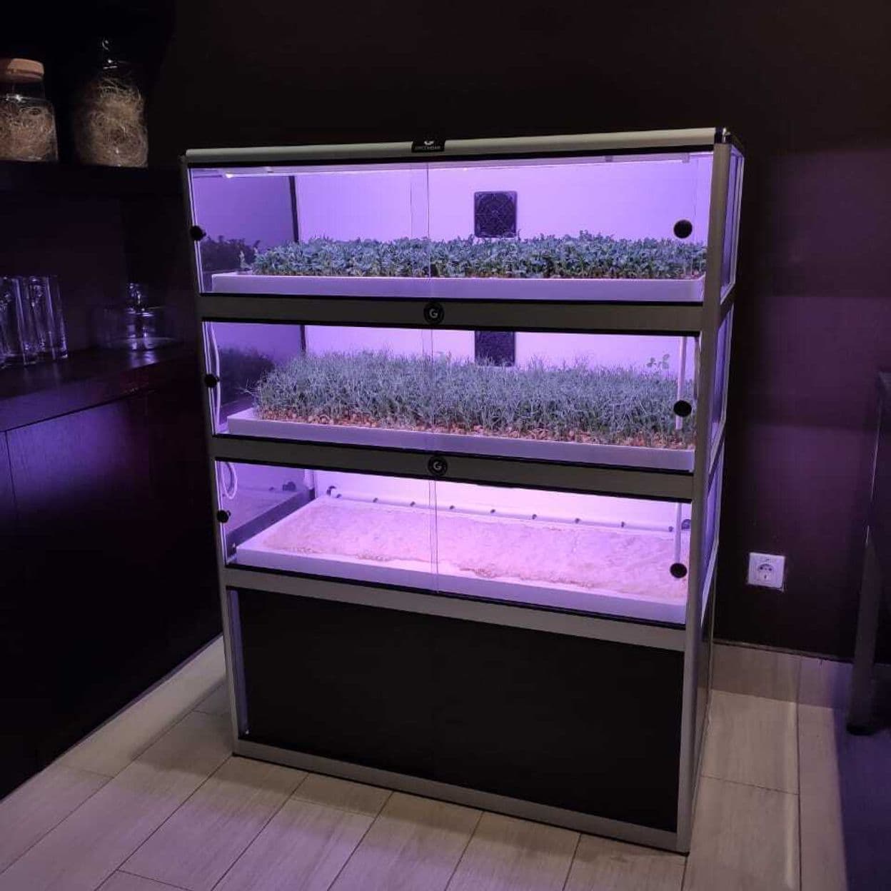 Купить  Цифровая ситиферма-витрина для выращивания микрозелени Greenbar- MZ4