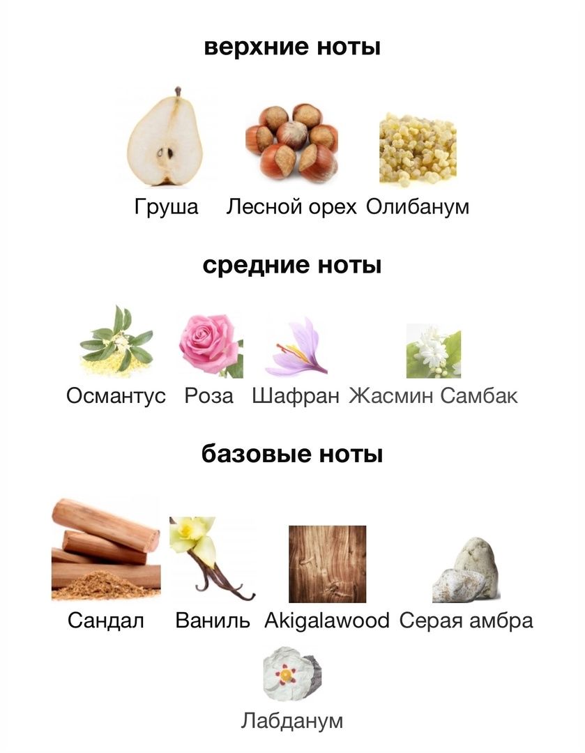 Купить Amouage Guidance