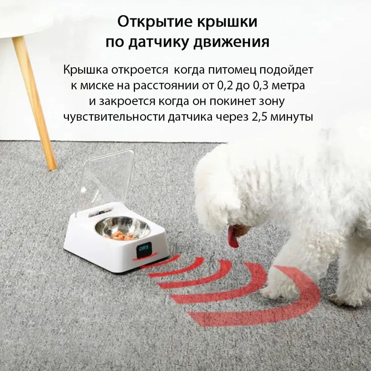 Купить Автокормушка с автозакрытием