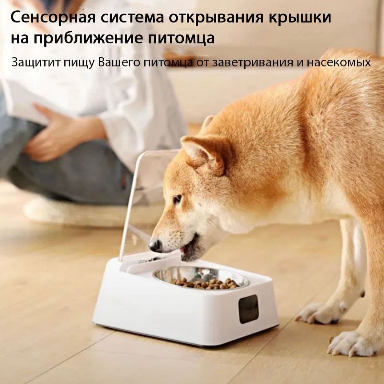 Купить Автокормушка с автозакрытием