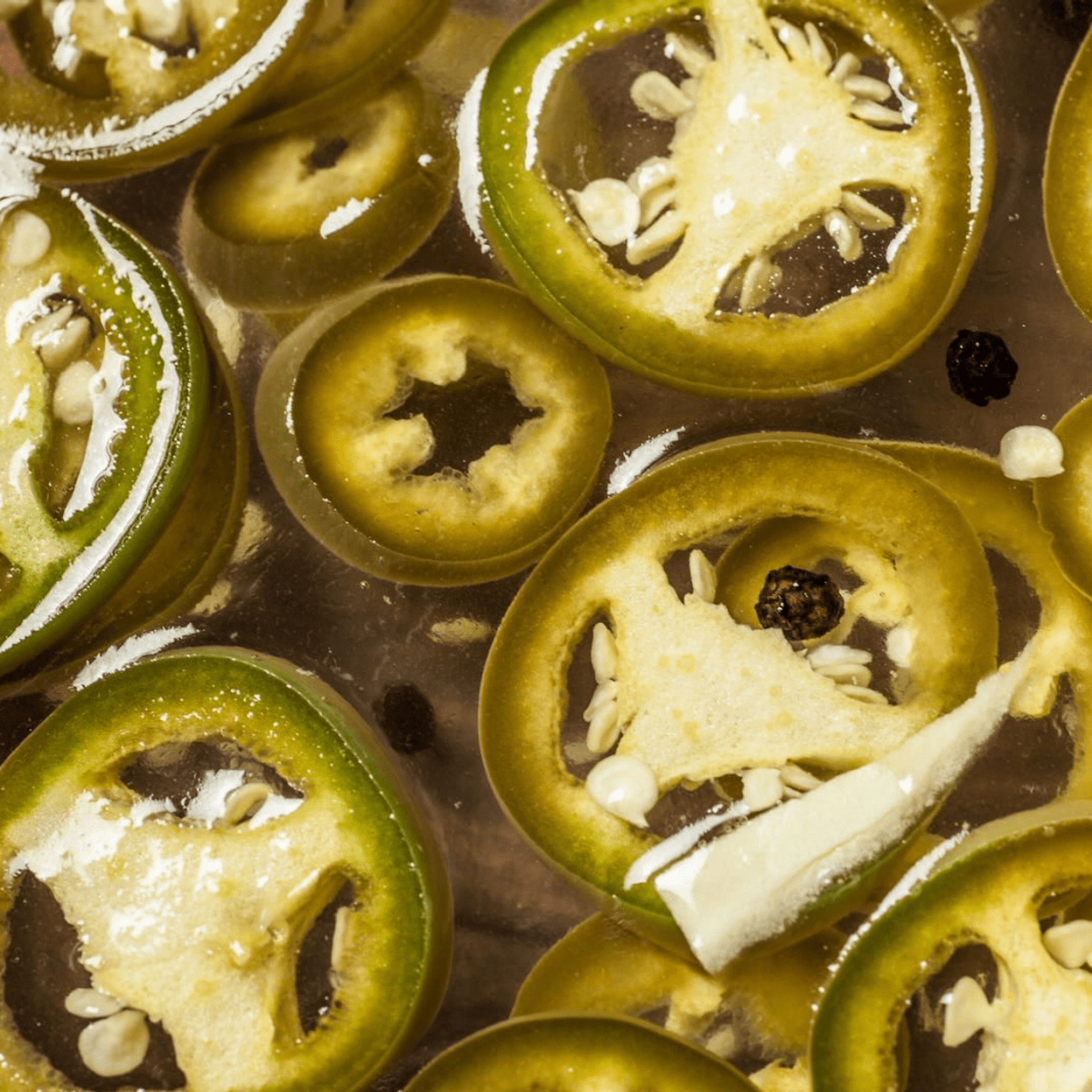 Купить Холопеньо