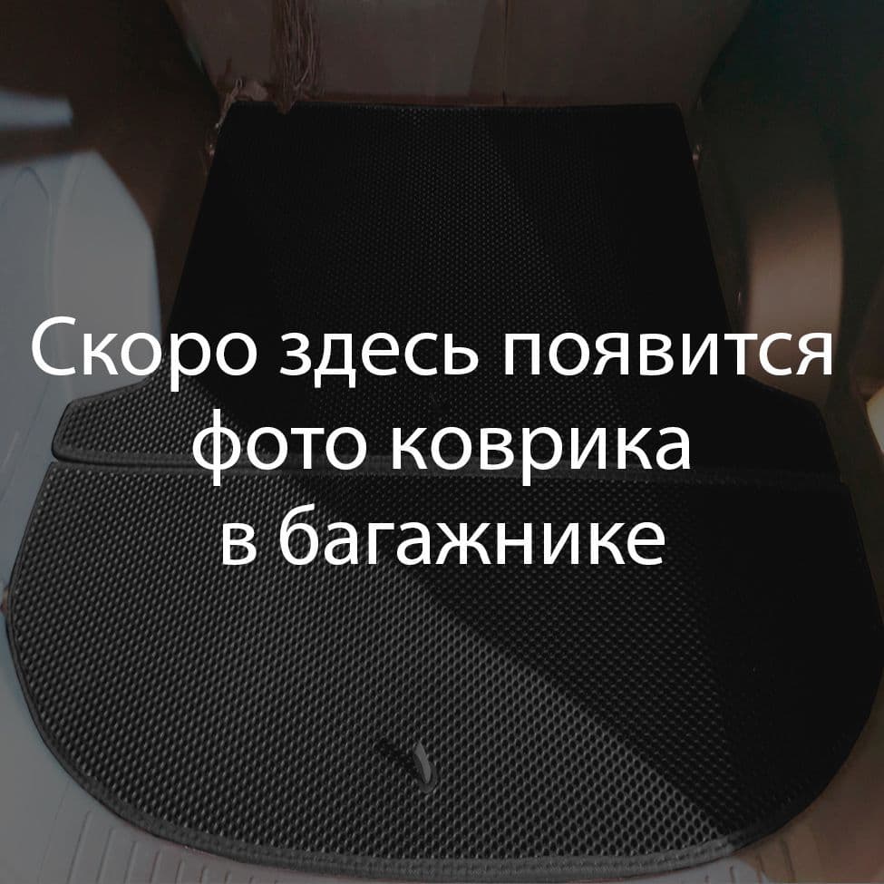 Купить Коврик ЭВА в багажник для Audi Q7 II (4M)