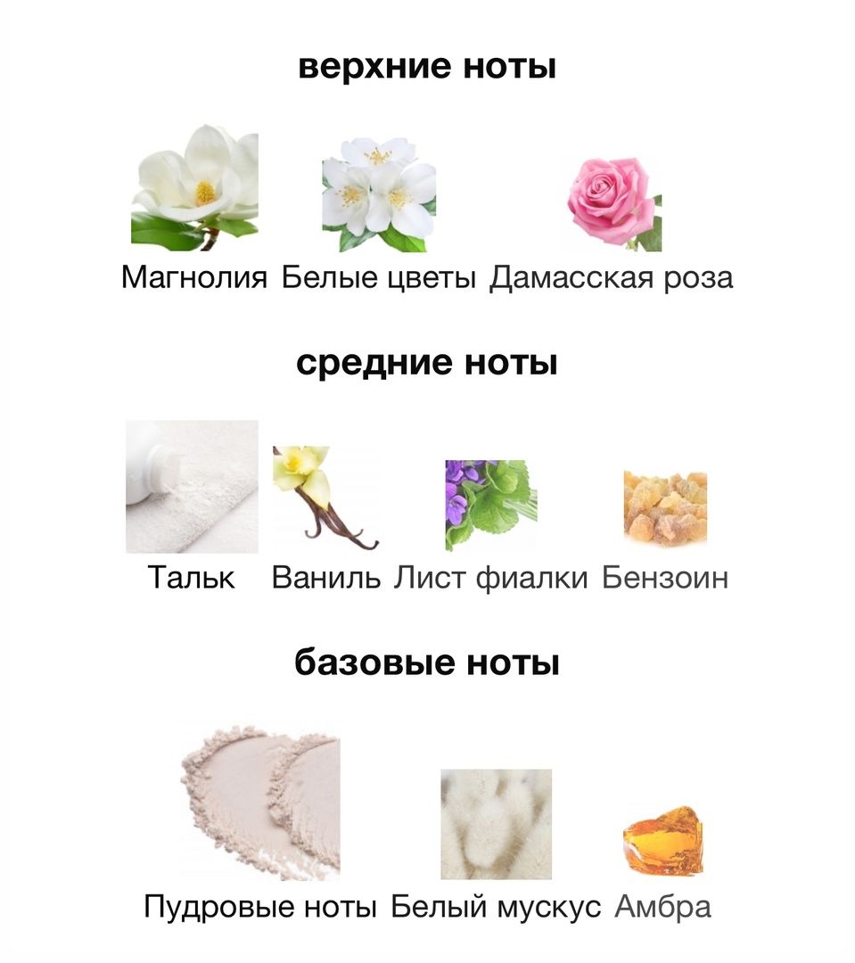 Купить Attar Collection Areej