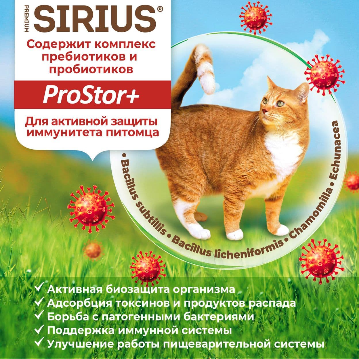 Купить Сухой корм SIRIUS для