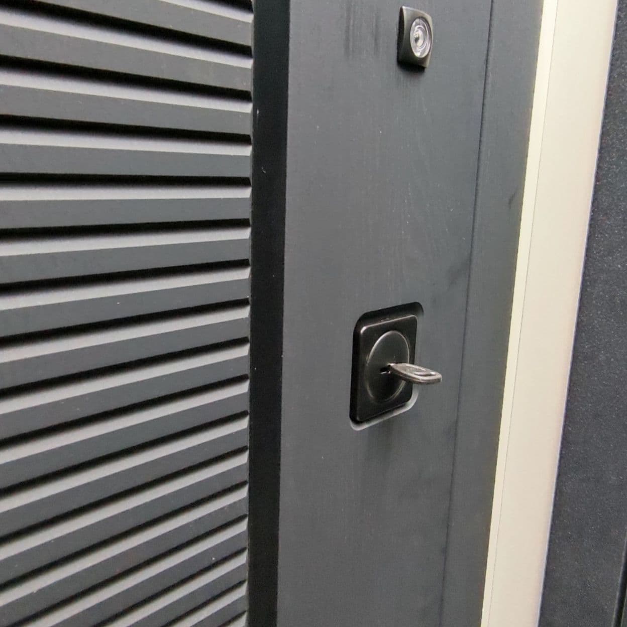 Купить Дверь входная "Пиано", КОВА