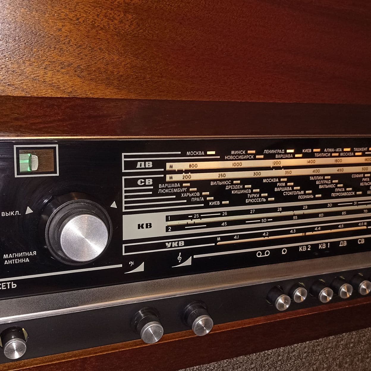 Купить Ригонда 102