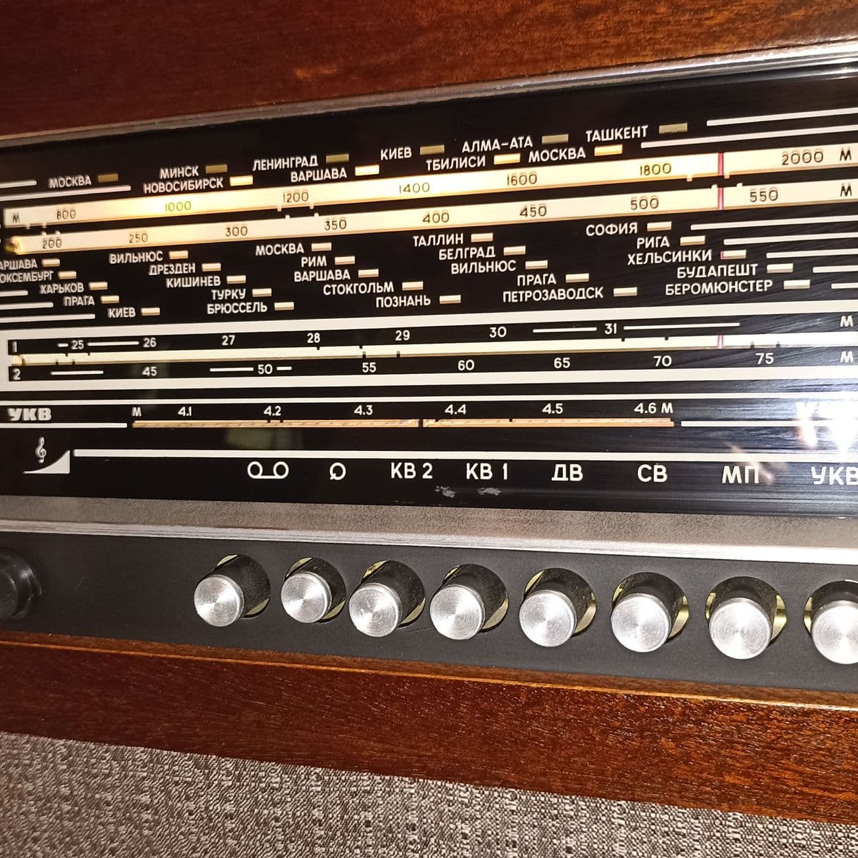 Купить Ригонда 102