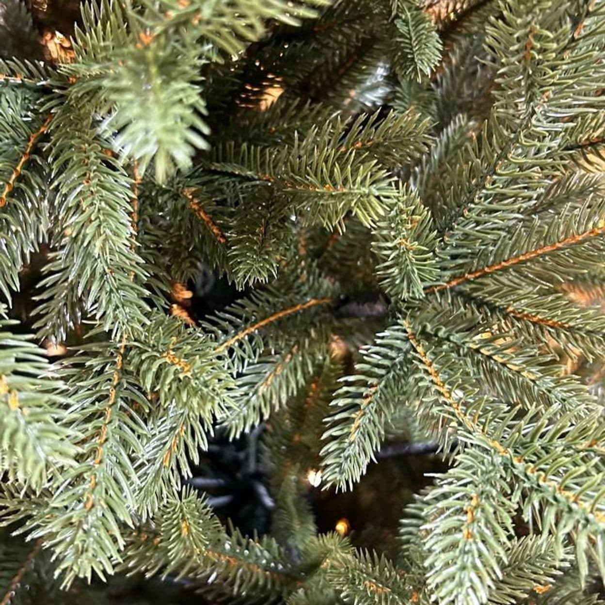 Купить Царская ТЕМНАЯ