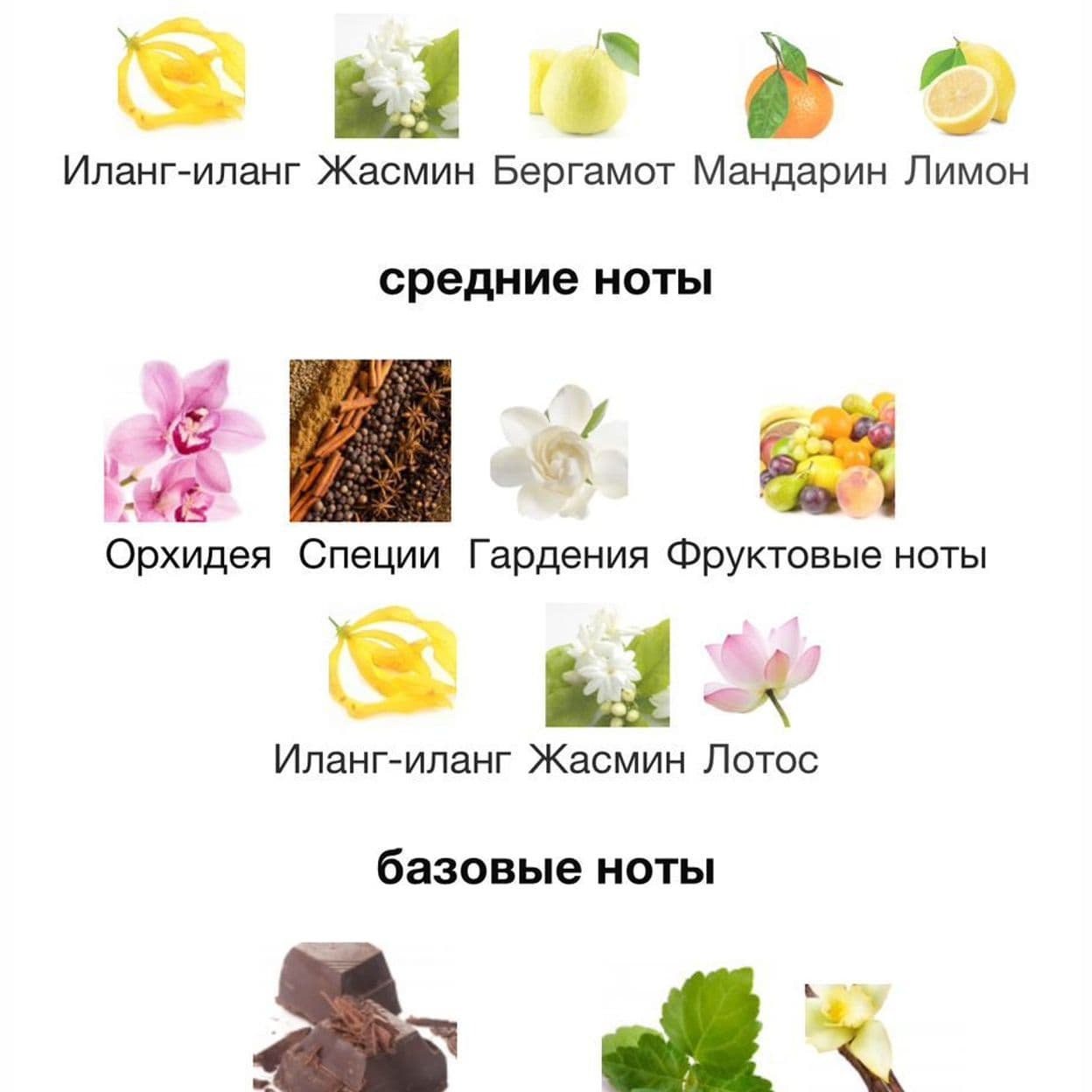 Купить TOM FORD BLACK ORCHID