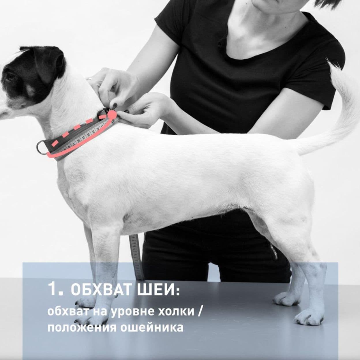 Купить Одежда для собак свитер бежевый с коричневыми оранжевыми ромбом  длина спины 35см, размер L Уют