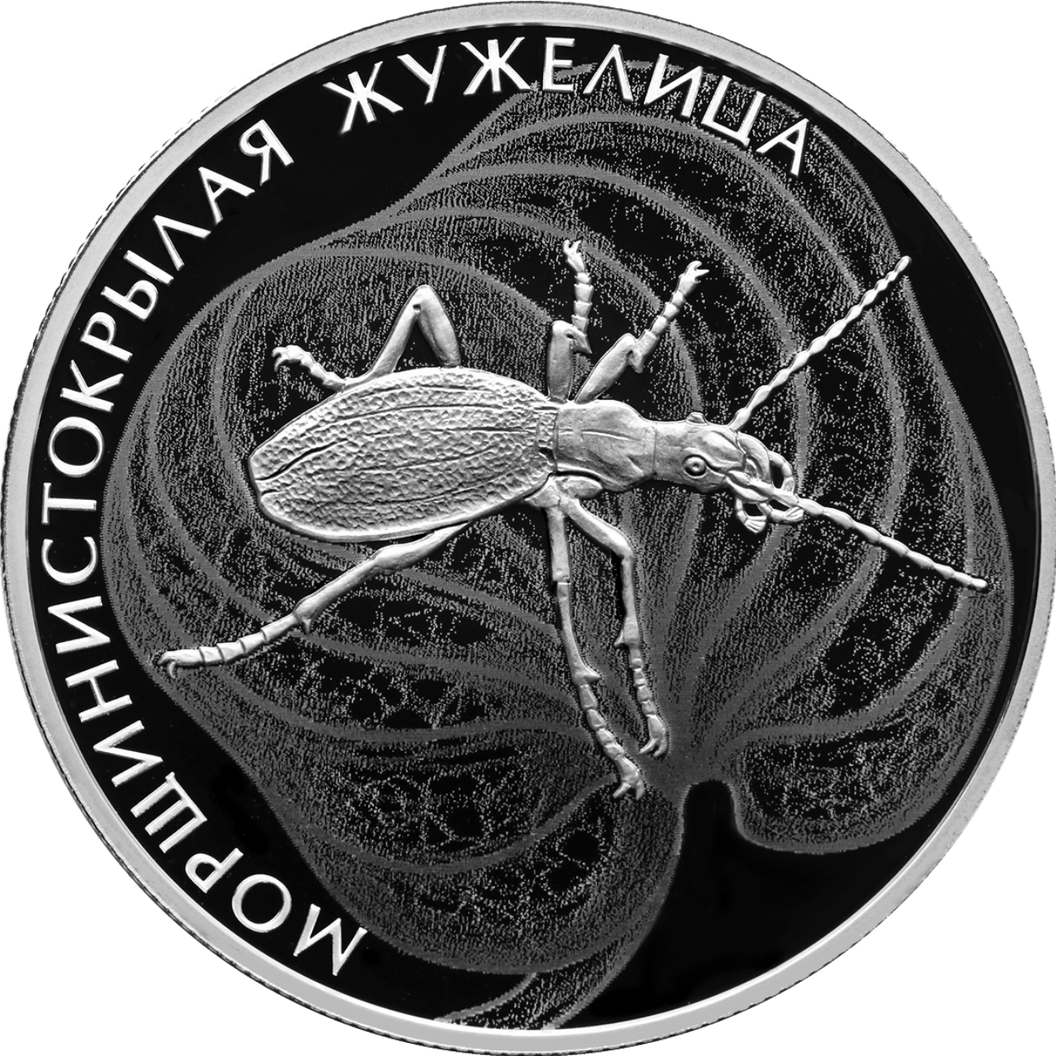Купить Морщинистокрылая жужелица / 5110-0187