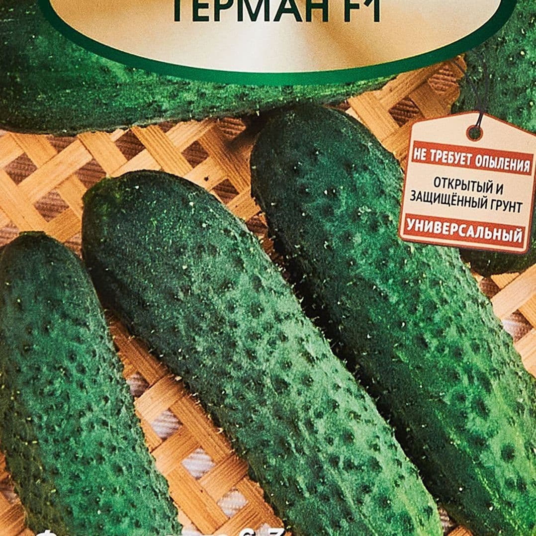 Купить Огурец Герман 5шт. (Поиск)