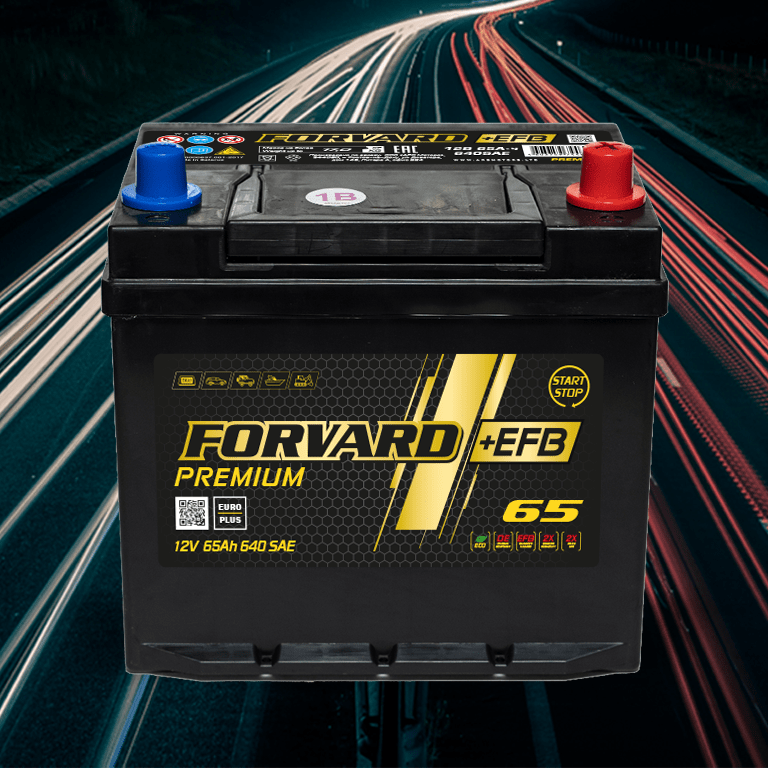 Купить FORVARD EFB ASIA 6CT-65