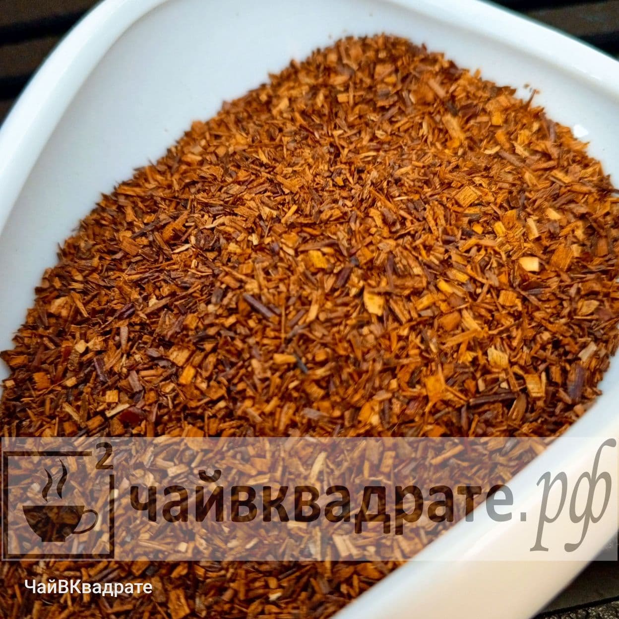 Купить Ройбуш мелкий