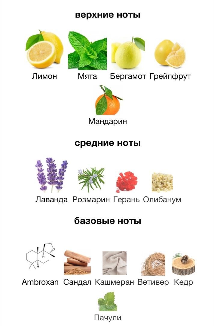 Купить Parfums de marly sedley