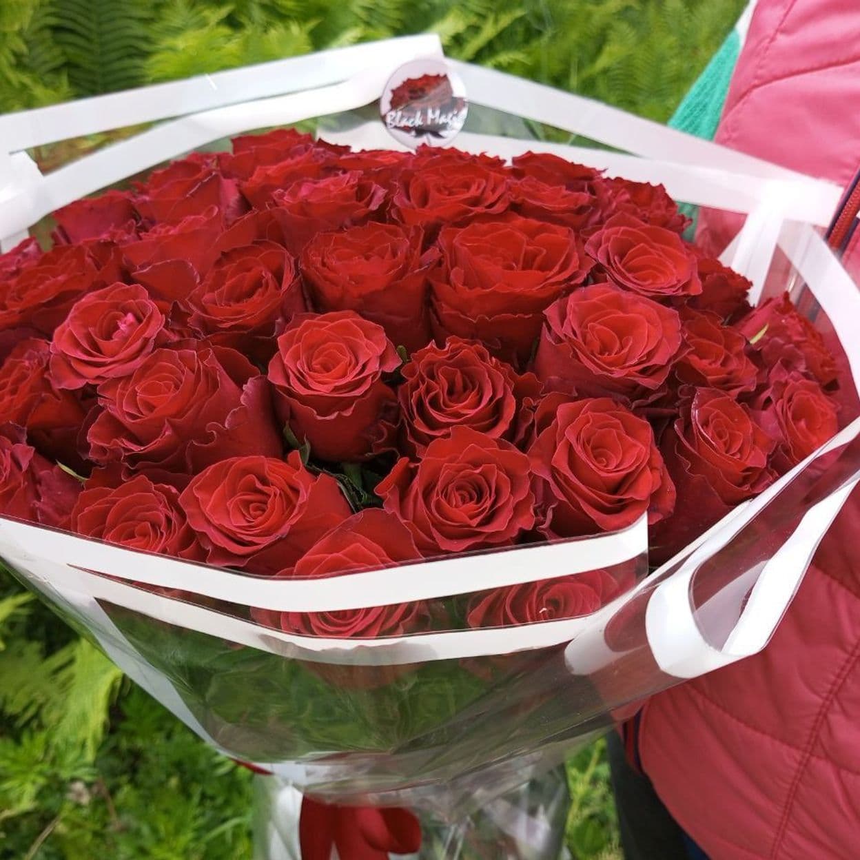 Купить Мадам рэд (кения) роза 40 см. - 51 шт.