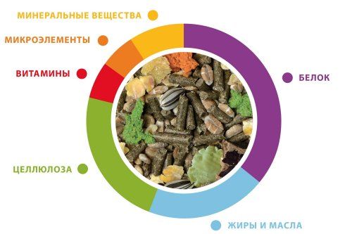 Купить Padovan Корм GRANDMIX Coniglietti 3 КГ для кроликов