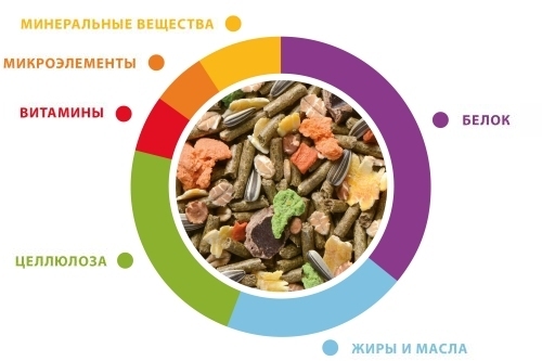 Купить Padovan Корм GRANDMIX Coniglietti 3 КГ для кроликов