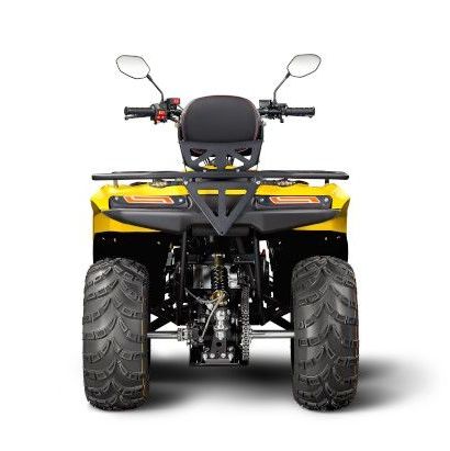 Купить Квадроцикл IRBIS ATV200