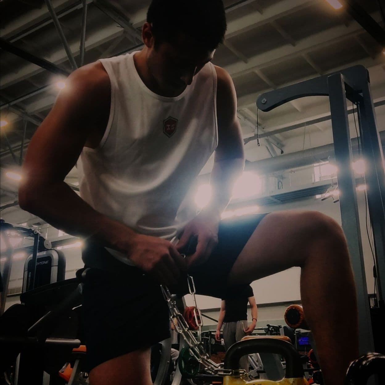 Купить Ideal Sports Gym
