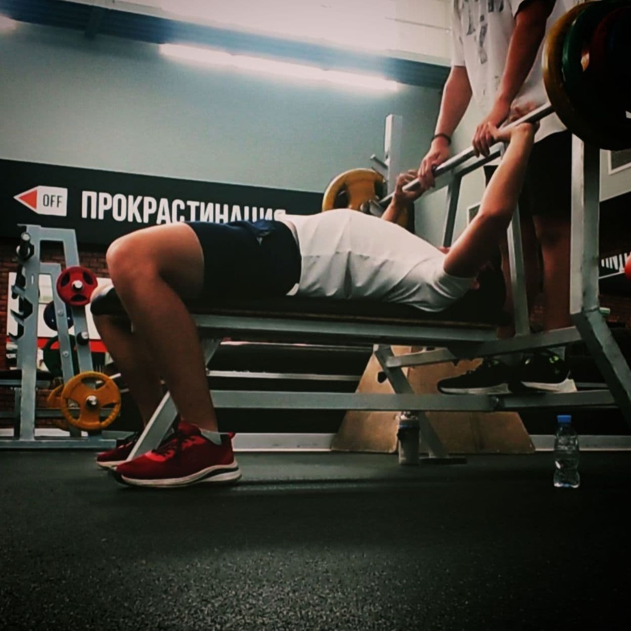 Купить Ideal Sports Gym